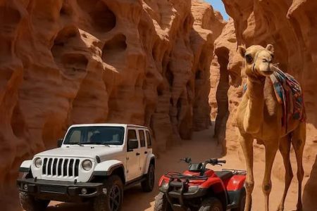 Цевтной каньон Саламмы ( разные программы )