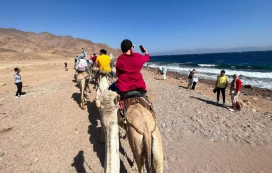 Супер Дахаб  дискавери 5 в 1