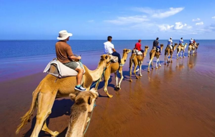 Все развлечния в одном  из Шарм-Эль-Шейха