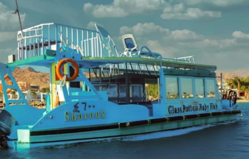 Все развлечния в одном  из Шарм-Эль-Шейха