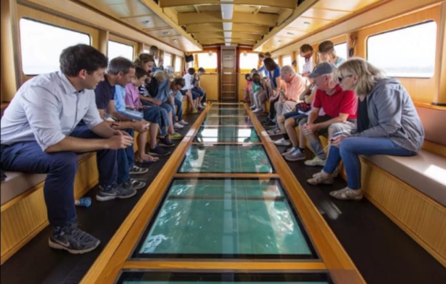 Все развлечния в одном  из Шарм-Эль-Шейха