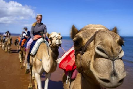 Все развлечния в одном  из Шарм-Эль-Шейха