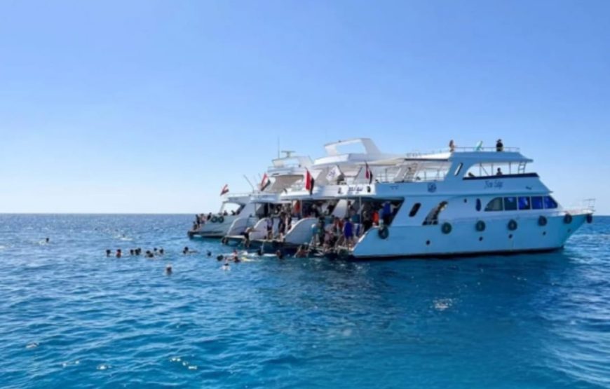 Рас Мохаммеди и Белый острав ( есть дайвинг )