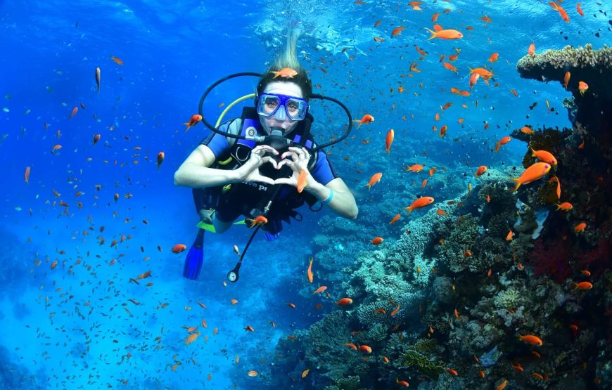 Острав Тиран на яхте ( есть дайвирг )