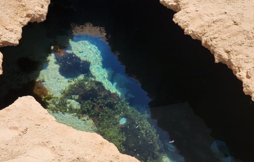 Заповедник Рас-Мохаммед (на автобусе)