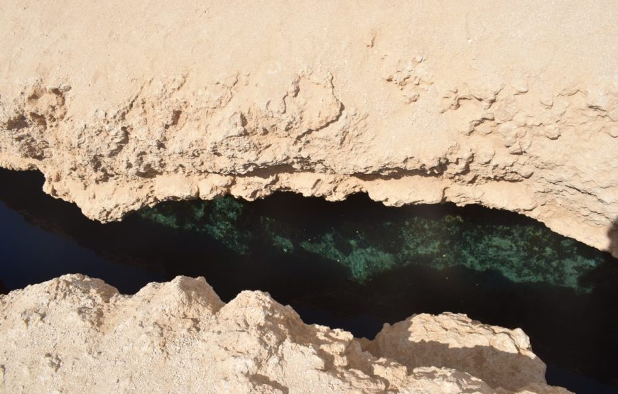 Заповедник Рас-Мохаммед (на автобусе)