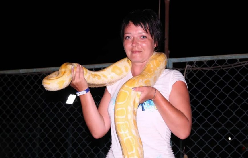 Шоу крокодилов и змей в Шарм- эль-Шейхе