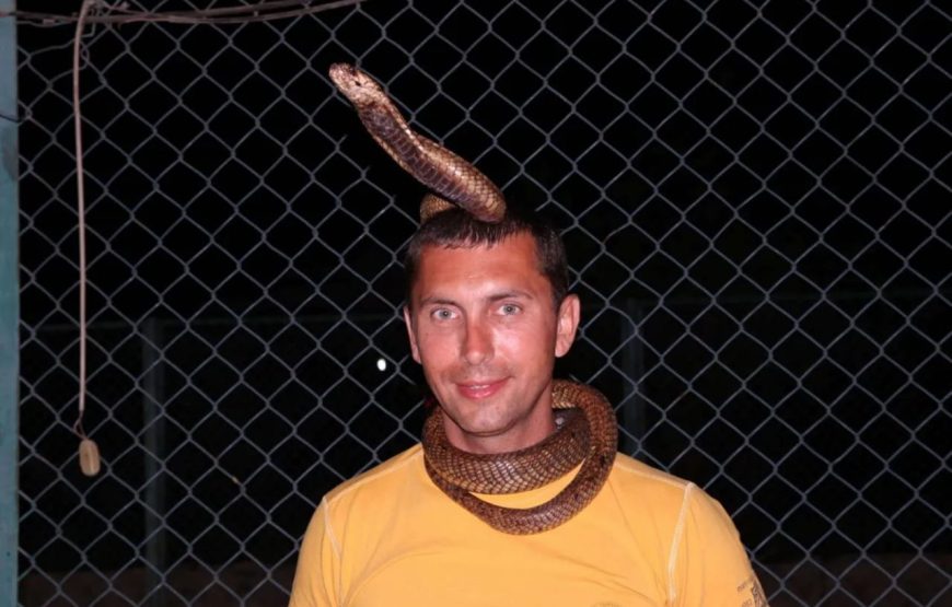 Шоу крокодилов и змей в Шарм- эль-Шейхе