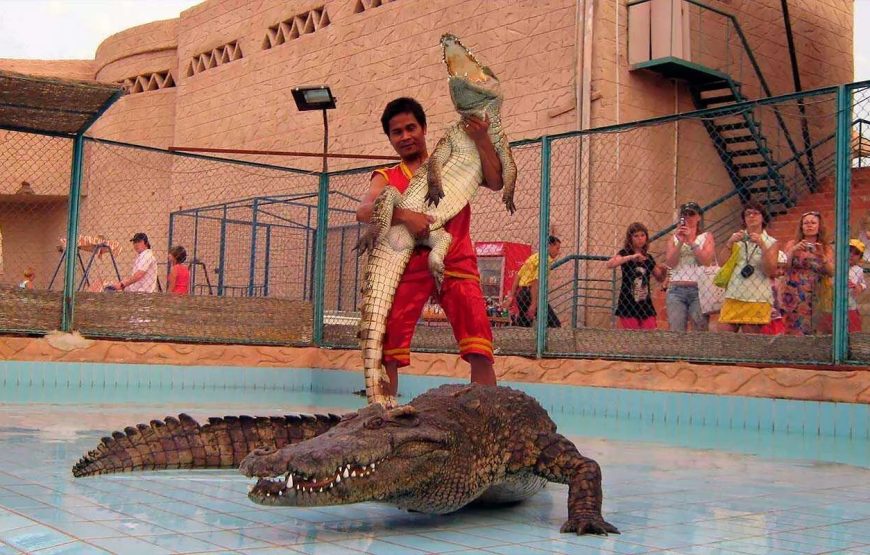Шоу крокодилов и змей в Шарм- эль-Шейхе