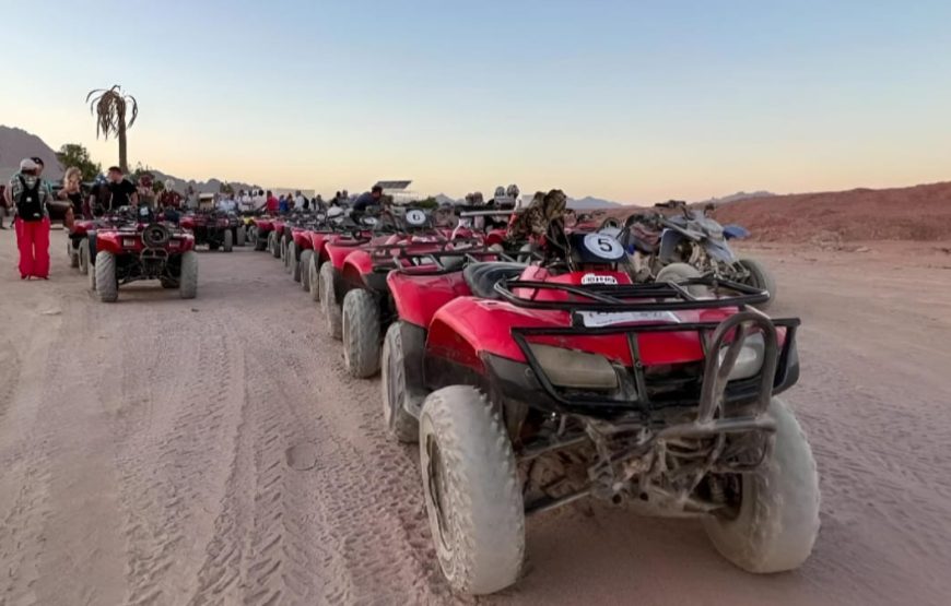 Сафари с ужином и шоу-квадро или багги