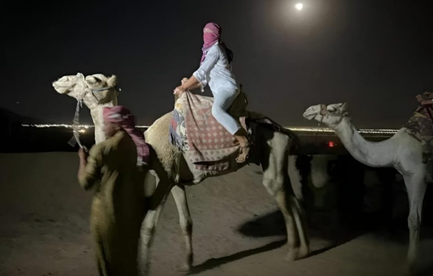 Сафари с ужином и шоу-квадро или багги