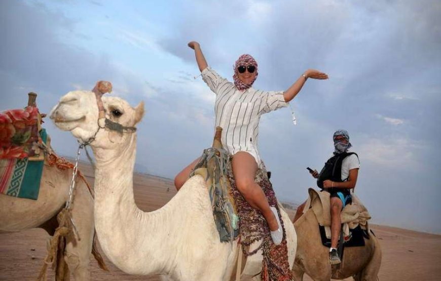 Сафари с ужином и шоу-квадро или багги