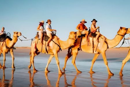 Супер Дахаб  дискавери 5 в 1