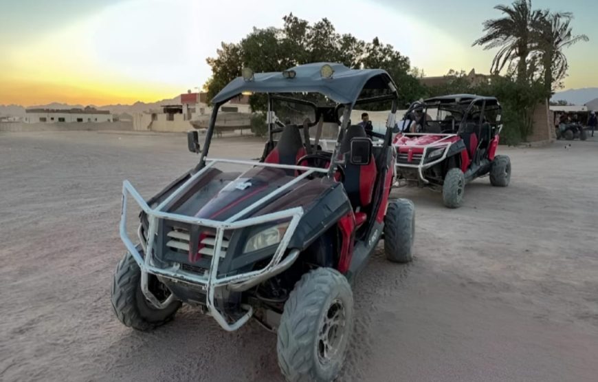 Сафари на Багги в Шарм-Эль-Шейе