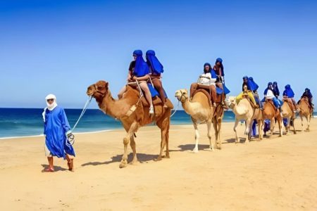 Дахаб Дискавери 4в1