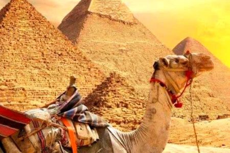 Каир , Пирамиды из Шарма ( на автобусе)