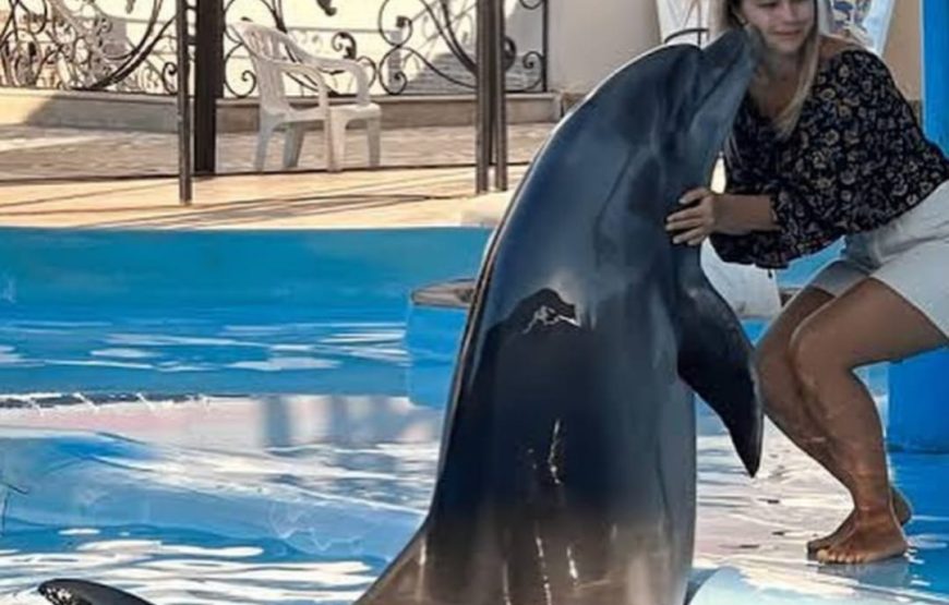 Дельфинарий  в Шарм эль Шейхе