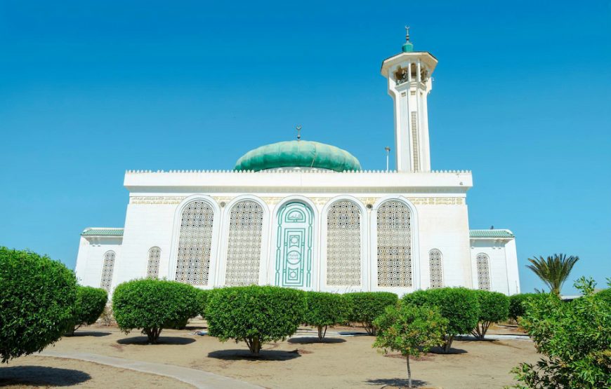 Обзорная экскурсия Шарм-Эль-Шейх ( индивидуально )