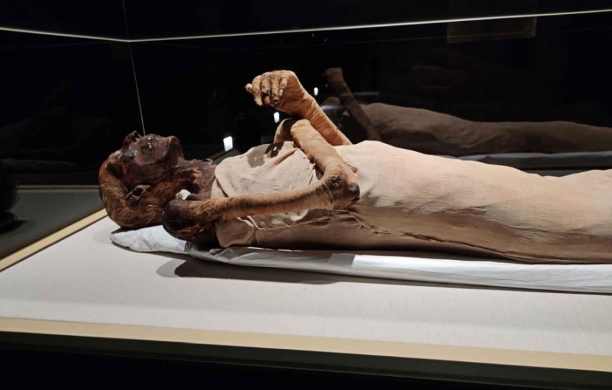 Экскурсия в Каир мини группа + МУЗЕЙ ЦИВИЛИЗАЦИЙ из Хургады