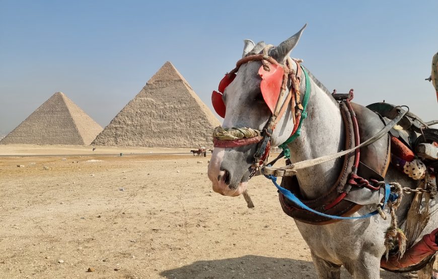 Экскурсия в Каир мини группа + МУЗЕЙ ЦИВИЛИЗАЦИЙ из Хургады