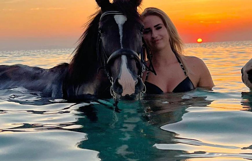 Восточная сказка ( новинка )