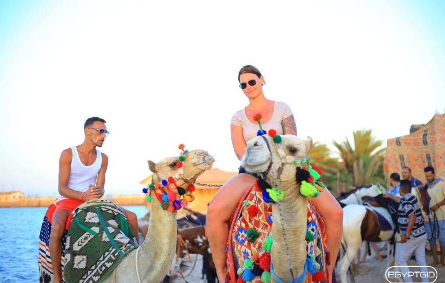 Восточная сказка ( новинка )