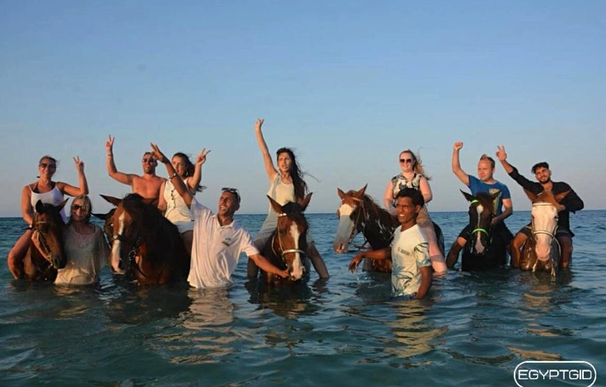 Восточная сказка ( новинка )