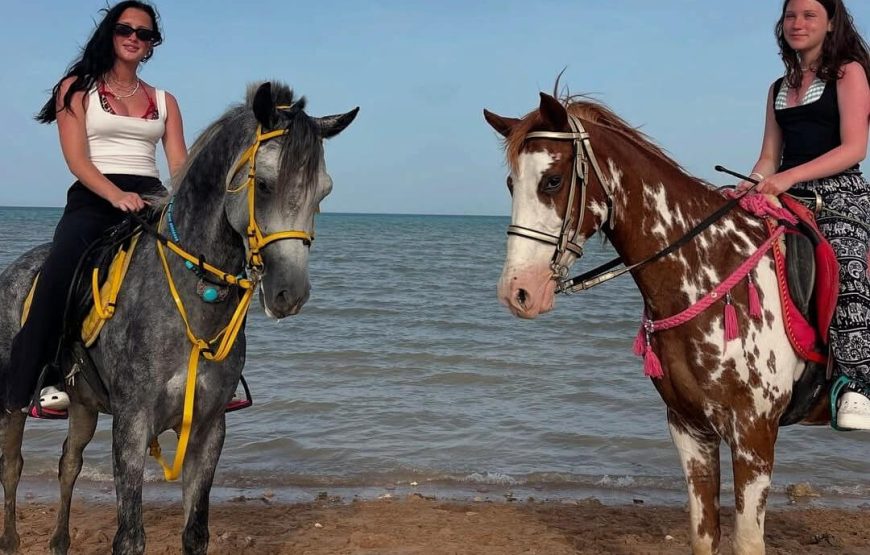 Восточная сказка ( новинка )